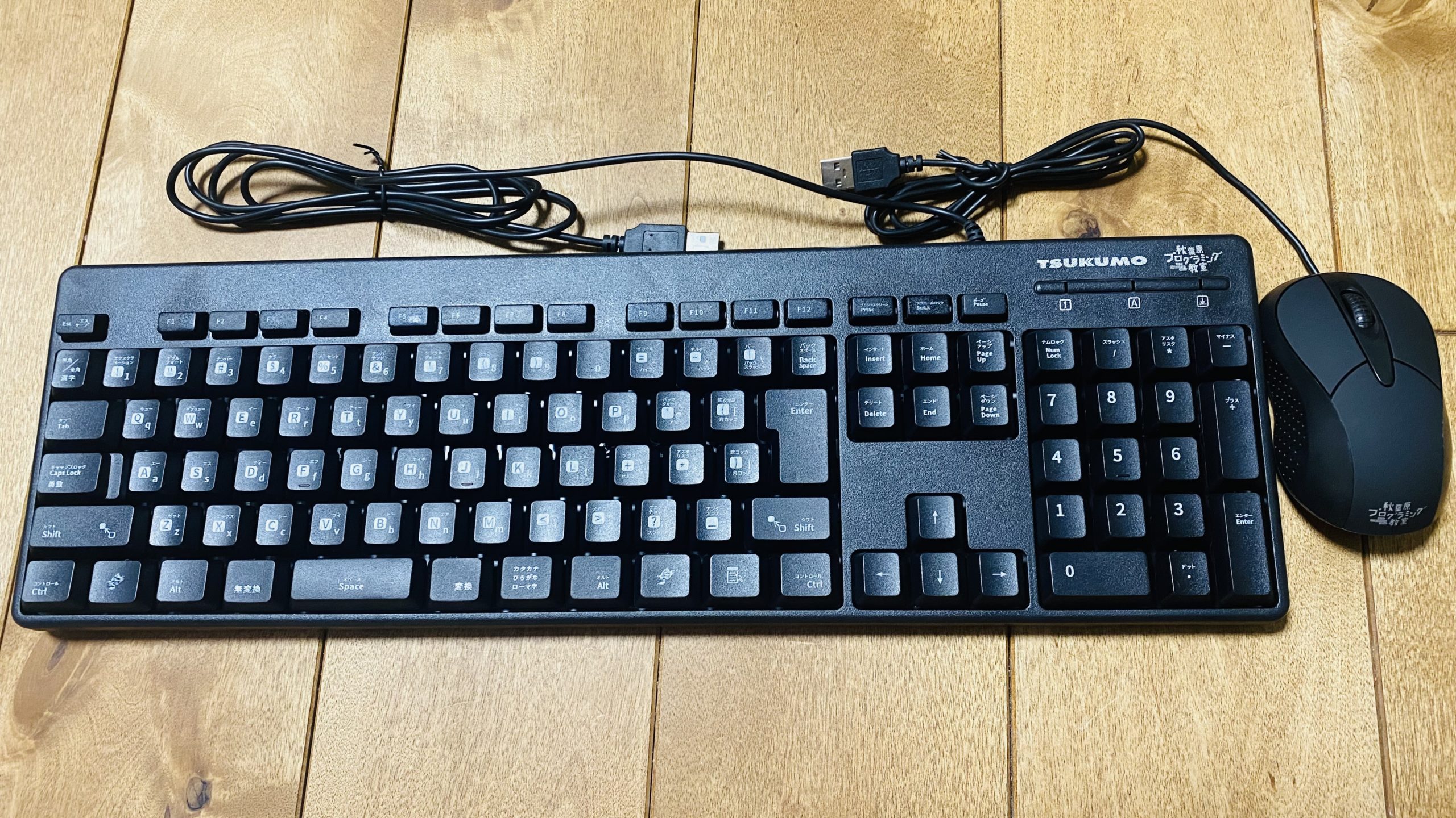 Cacciの超自由研究ノート